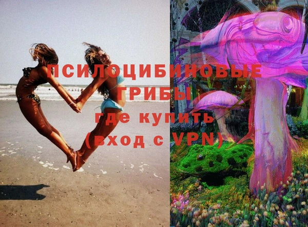 ешки Бугульма