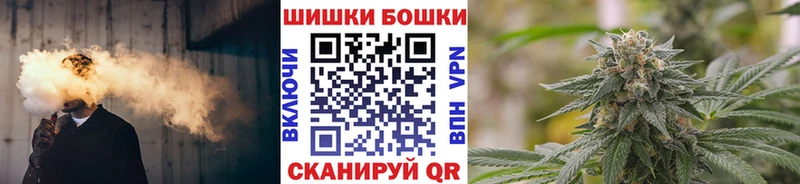 Купить Новодвинск Канабис Amnesia